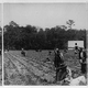 Illustration for article titled Strawberry